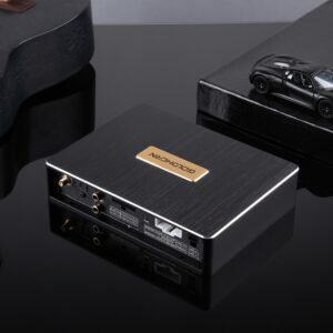 Goldhorn Stand-Alone DSP DSP10