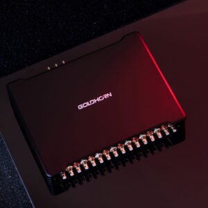 Goldhorn Stand-Alone DSP DSP 16 Ultra