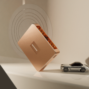 Goldhorn DSD Player P1